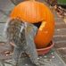 Fred Bickert - Facebook