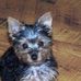 Fred Bicknell - Facebook