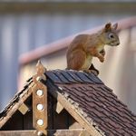 Billington - @billingtonfred - Instagram