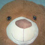 Fred Blake - @fredblake0123 - Instagram