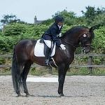 Fred Bloggs - @atilathestallion - Instagram