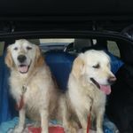 Fred Bloggs - @rbuktek - Instagram