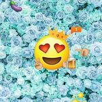 fred bloggs - @notearnomore - Instagram