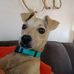 Fred Bloggs - Facebook