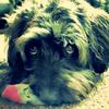 Fred.Bloggs - @fred.bloggs - TikTok
