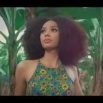 FredBOBFilms 🌍 - @fredbob_films - Instagram