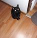 Freda Boggs - Facebook