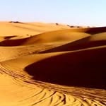 Fred Bongne - @fredbongne - Instagram