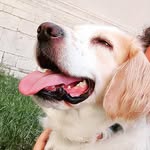 Fred Bongusto - @fred_bongusto_ - Instagram