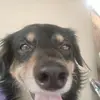 Fred Bonito - @fred.bonito - TikTok