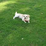 Fredy - @fred.manolito.bonito - Instagram