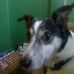 Fred Bottomley - Facebook