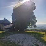 Fred Bouchet - @fredbouchet - Instagram