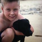 Bowie - @fredandbowie - Instagram