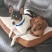 Fred Boewe - Facebook
