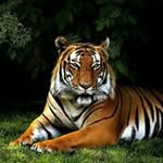 Fred Bowman - @bowmanfred - Instagram
