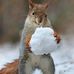 Fred Boykin - Facebook