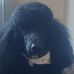 Fred "fredricko" Boykin - Facebook