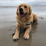 Fred Boyle - @_fredboyle - Instagram