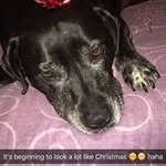 Fred Boyle - @boyle.fred - Instagram