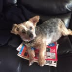 Fred Bradburn - Facebook