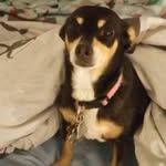 Fred Bradshaw - @melissarotolo57 - Instagram