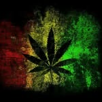 Fred bradshaw - @bradshawfred426 - Instagram