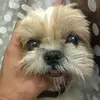 fred_bravo - @fred_bravo - TikTok