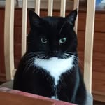 Fred brennan - @freb_bb - Instagram