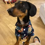 @fredthebrightonsausage - Instagram