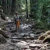 fredbrinkman1 - @fredbrinkman1 - TikTok