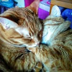 Ned & Fred Brinkman - @ned_and_fred - Instagram