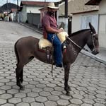 Fred Brito - @fred.brito.37 - Instagram