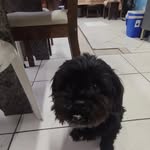 Fred - @fred__brito - Instagram