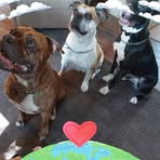 Fred Britton - Facebook