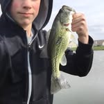 Freddy Broerman - @flying_freddy22 - Instagram