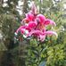 Frederick Bronson - Facebook