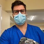 Health is wealth - @bronson_fred_surgeon_dr - Instagram