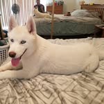 Fred Brophy - @brophyfred - Instagram