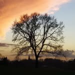 Fred brouwer - @brouwer3677 - Instagram