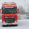 fred de brouwer - @fred.de.brouwer - TikTok