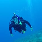 Fred Browne - @fjb1957 - Instagram