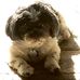 Fred Bruner - Facebook