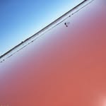 Fred Brussel - @fredbrussel - Instagram