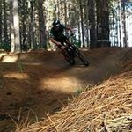 Fred Buchanan - @fredbuchanan101 - Instagram