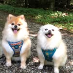 Fred & Clara Bucher - @fredandclara - Instagram