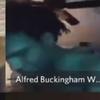 Alfred - @alfred.buckingham - TikTok