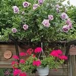 Fred Buis - @fred.buis.587 - Instagram