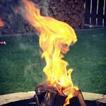 Fred Buissonnet - @fredbuissonnet - Instagram