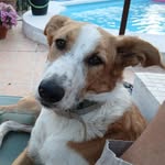 Fred Buist - @buistfred - Instagram